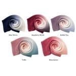 Pleated Ombre Chiffon Scarf - Flower Tones