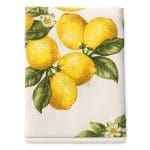 Table Cloth